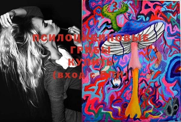 шишки Алзамай