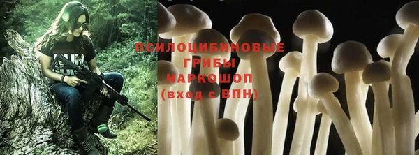 соль ск Абаза