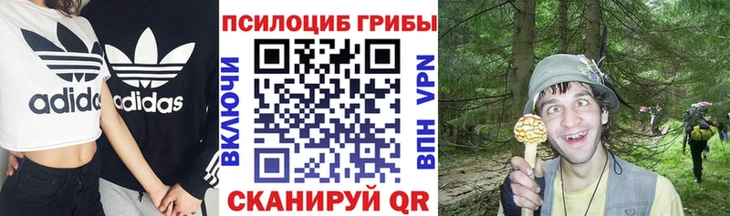 гидра tor  Приволжский  Галлюциногенные грибы MAGIC MUSHROOMS  купить наркотики цена 